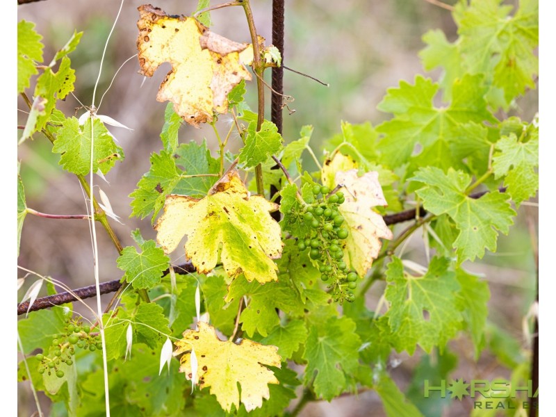 3861 Nhill-Jeparit Road, Jeparit VIC 3423