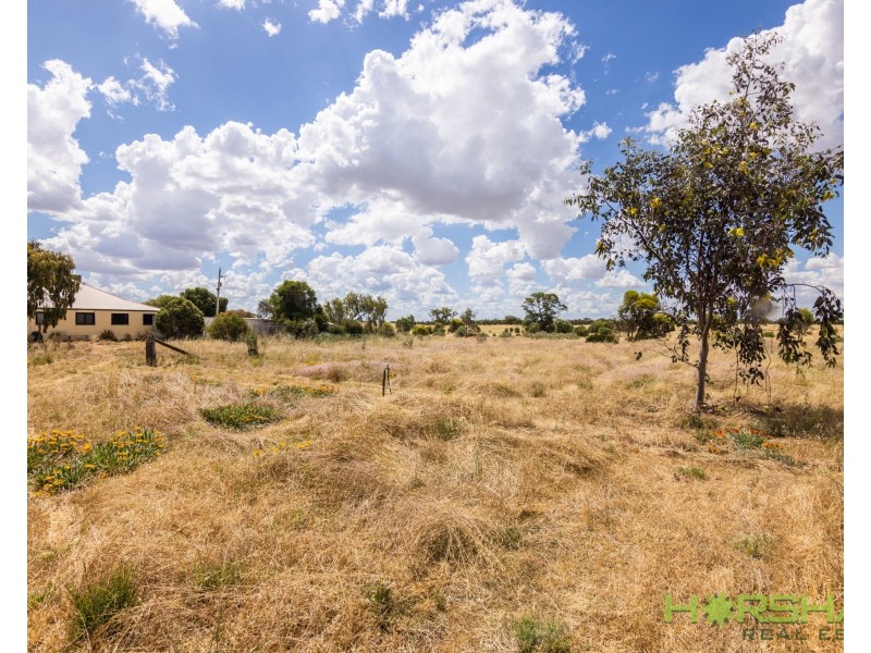 3861 Nhill-Jeparit Road, Jeparit VIC 3423