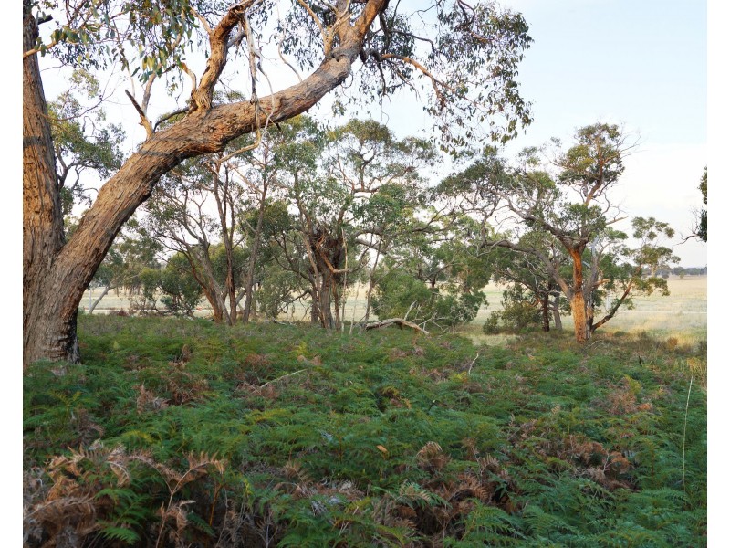 6 John McPhees Drive, Toolondo VIC 3401