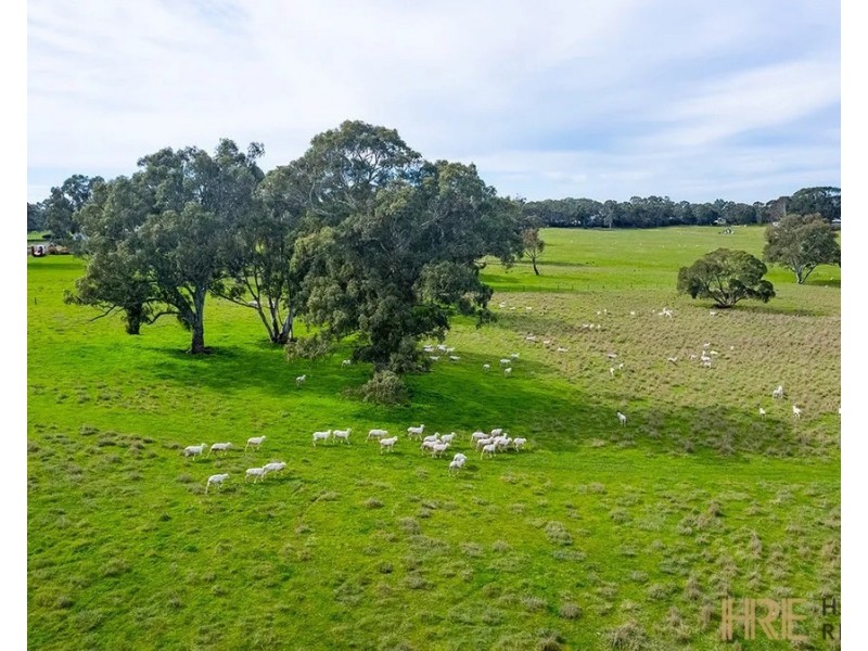 1790 Harrow-Balmoral Road, Balmoral VIC 3407