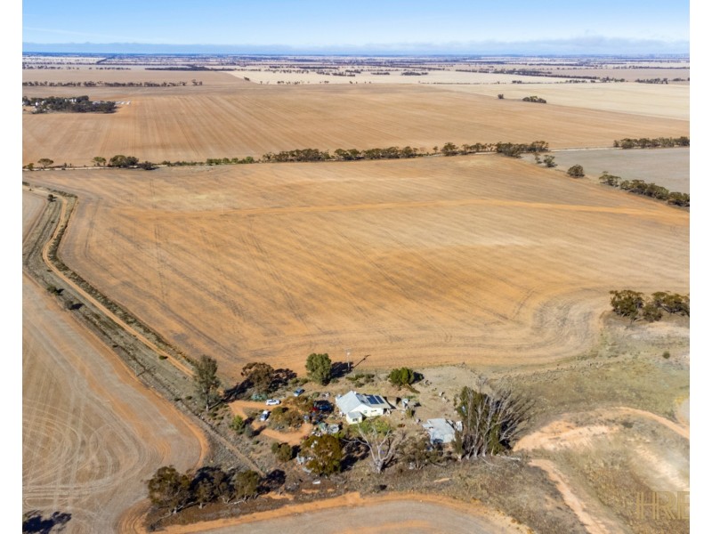 199 Olney-Zass Road, Berriwillock VIC 3531