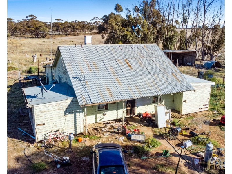 199 Olney-Zass Road, Berriwillock VIC 3531