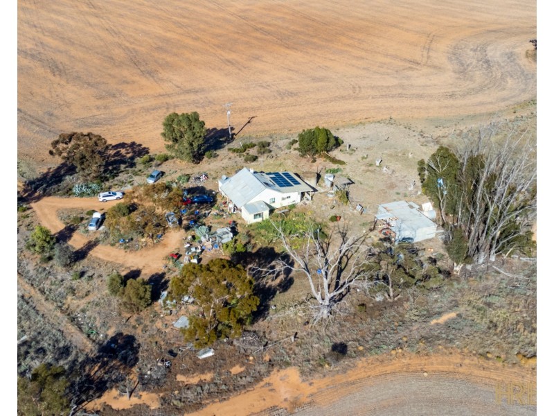 199 Olney-Zass Road, Berriwillock VIC 3531