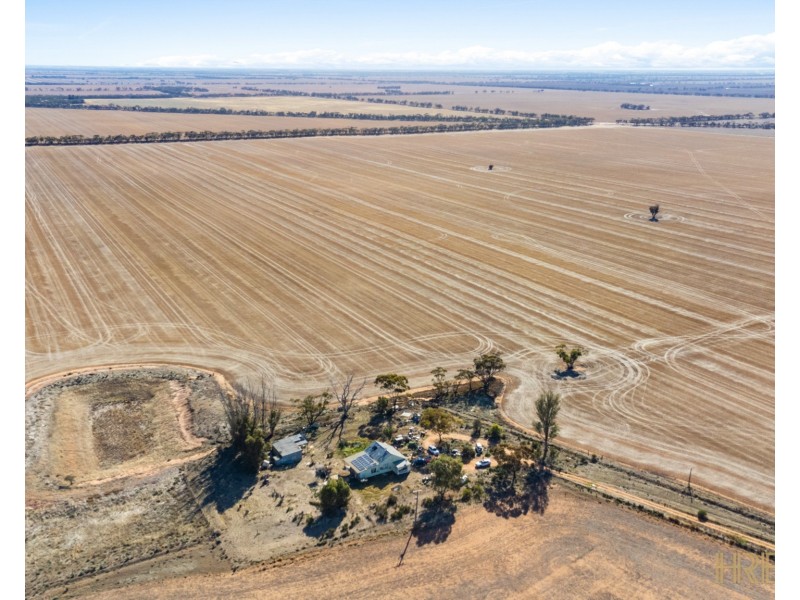 199 Olney-Zass Road, Berriwillock VIC 3531