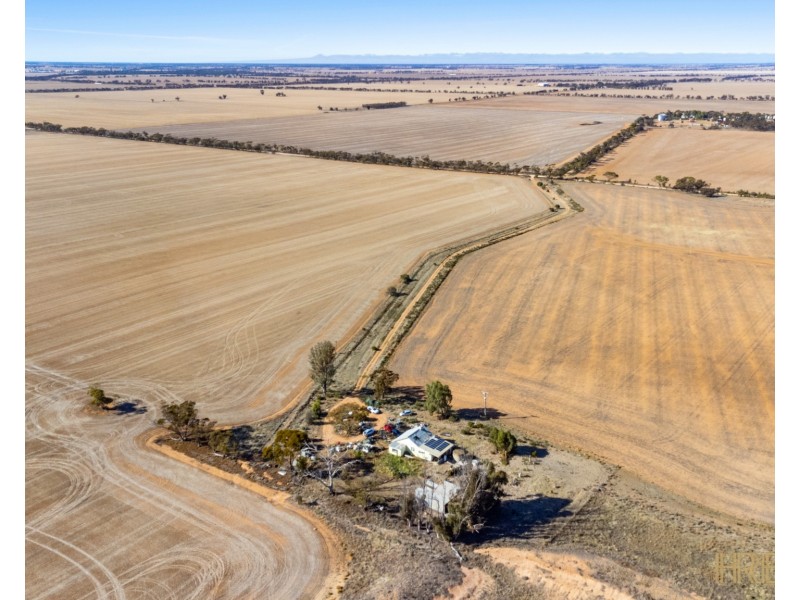 199 Olney-Zass Road, Berriwillock VIC 3531