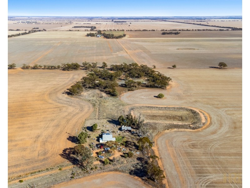 199 Olney-Zass Road, Berriwillock VIC 3531