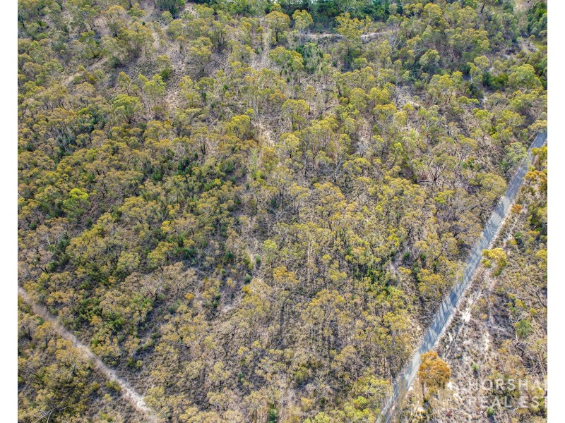 542 Roses Gap Road, Dadswells Bridge VIC 3385