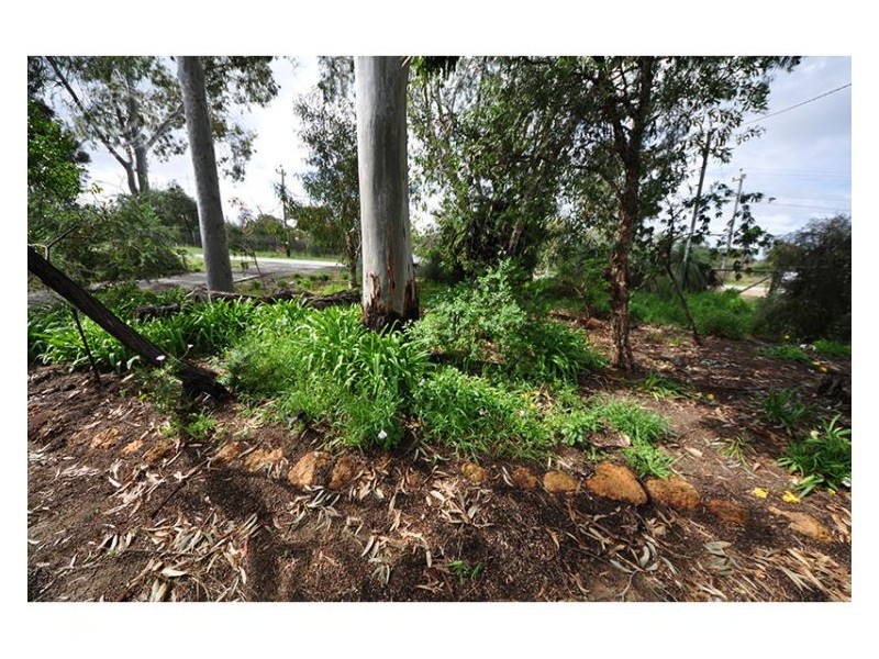 186 Henderson Road, Munster WA 6166