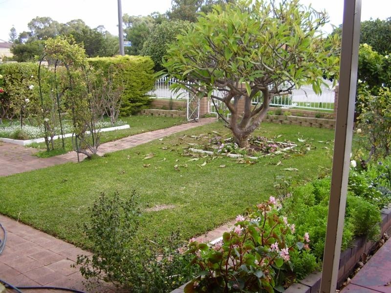 6 Showell Street, Hamilton Hill WA 6163