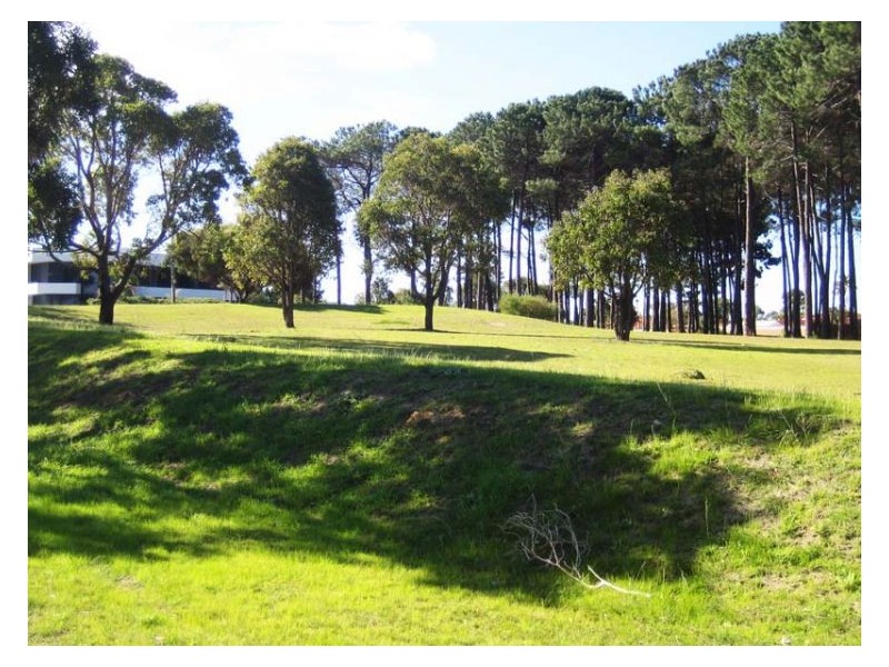 3/27 Weatherburn Way, Kardinya WA 6163