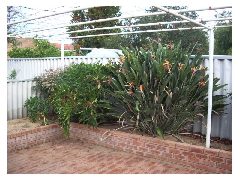 208 Rockingham Road, Hamilton Hill WA 6163