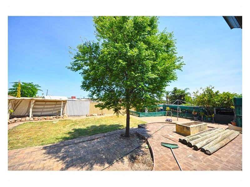 11 Osprey Drive, Yangebup WA 6164