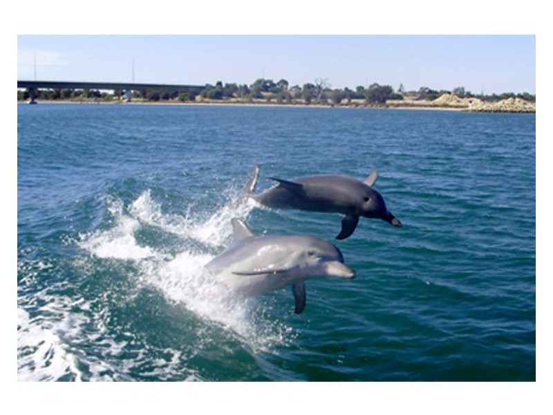 7 Captain Court, Wannanup WA 6210