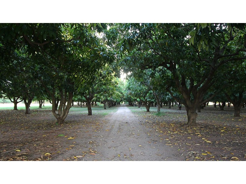 Lot 21 Williams Road, Waterbank WA 6725