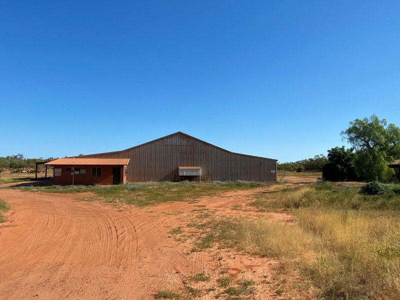 11 De Castilla Street, Minyirr WA 6725