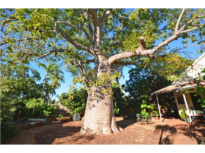 7 Walcott Street, Broome WA 6725