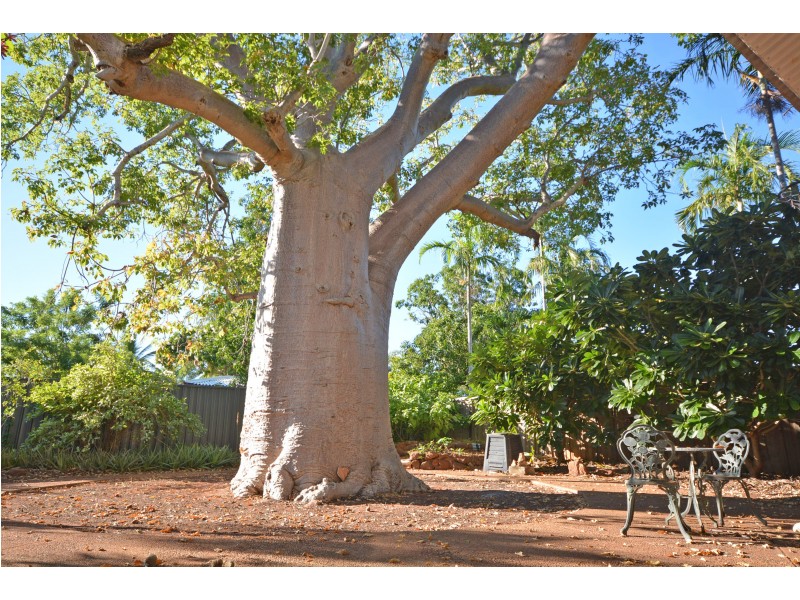 7 Walcott Street, Broome WA 6725