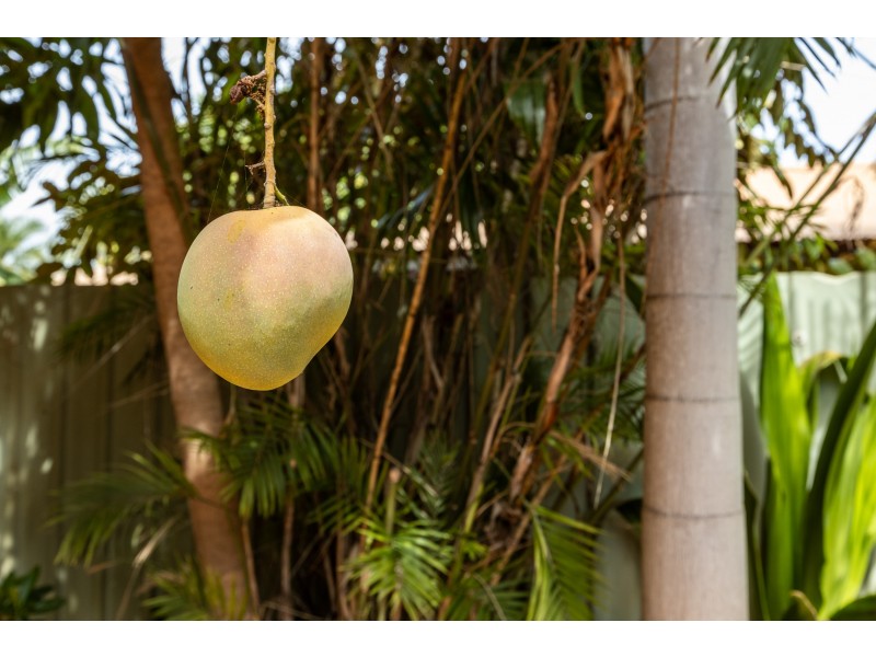 14 Miller Way, Broome WA 6725