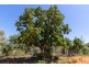 23 Fong Street, Roebuck WA 6725