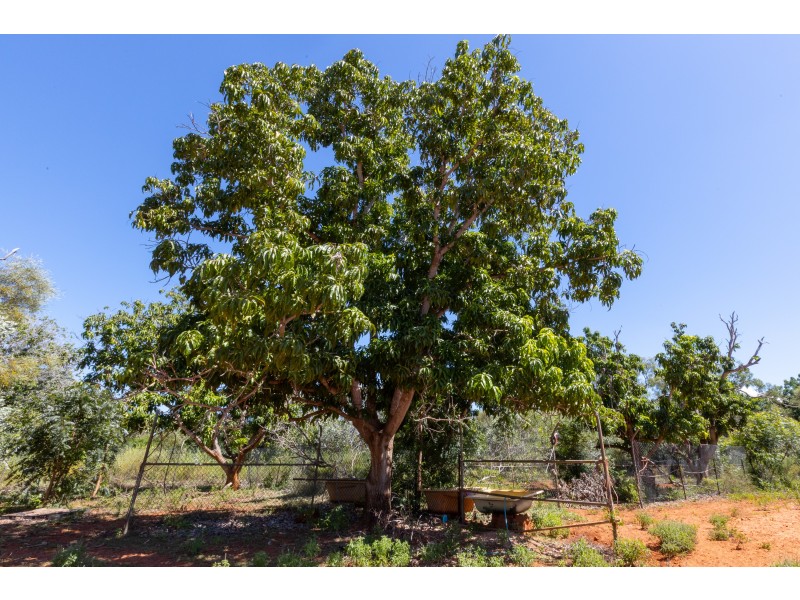 23 Fong Street, Roebuck WA 6725