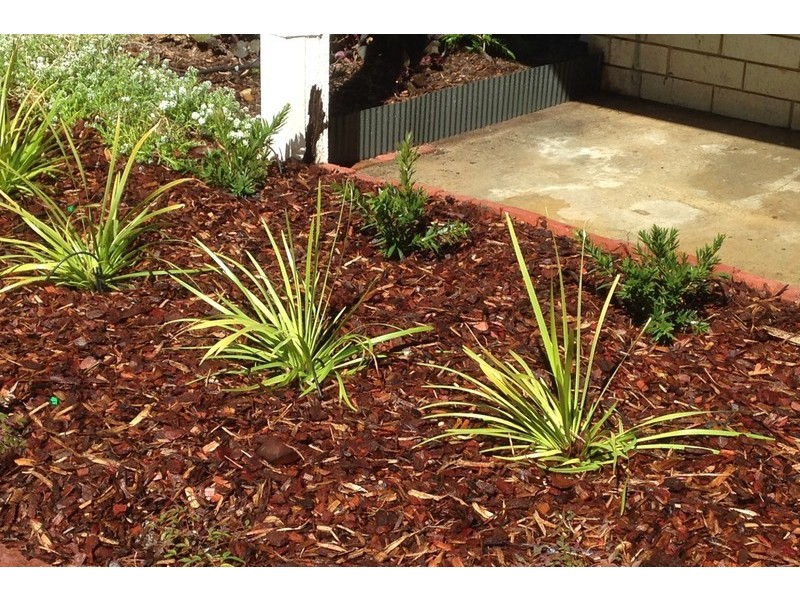 195/81 King William Street, Bayswater WA 6053