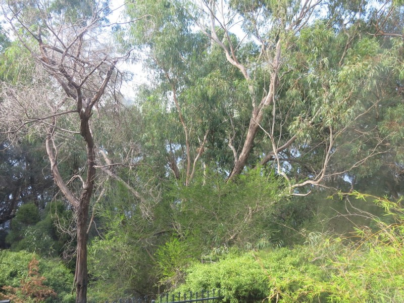 41/64-66 Riversdale Road, Rivervale WA 6103