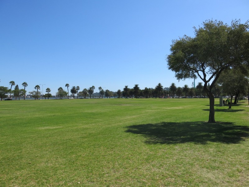 28/124 Terrace Road, Perth WA 6000