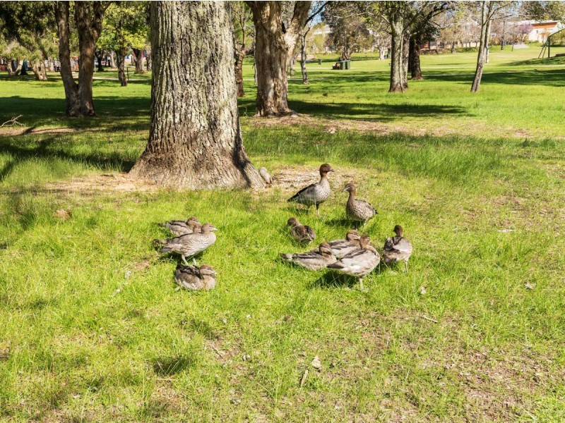 17/11 Barber Street, Kalamunda WA 6076