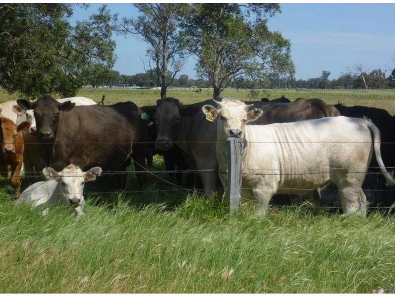 633 Utley Road, Serpentine WA 6125