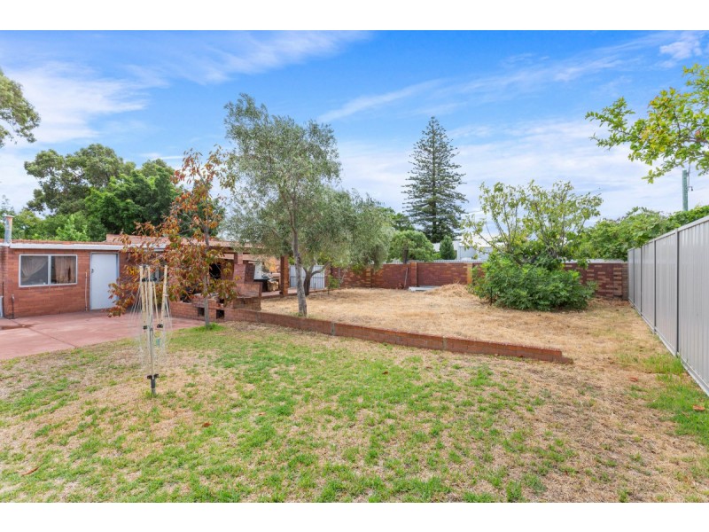 20 Alma Road, Mount Lawley WA 6050