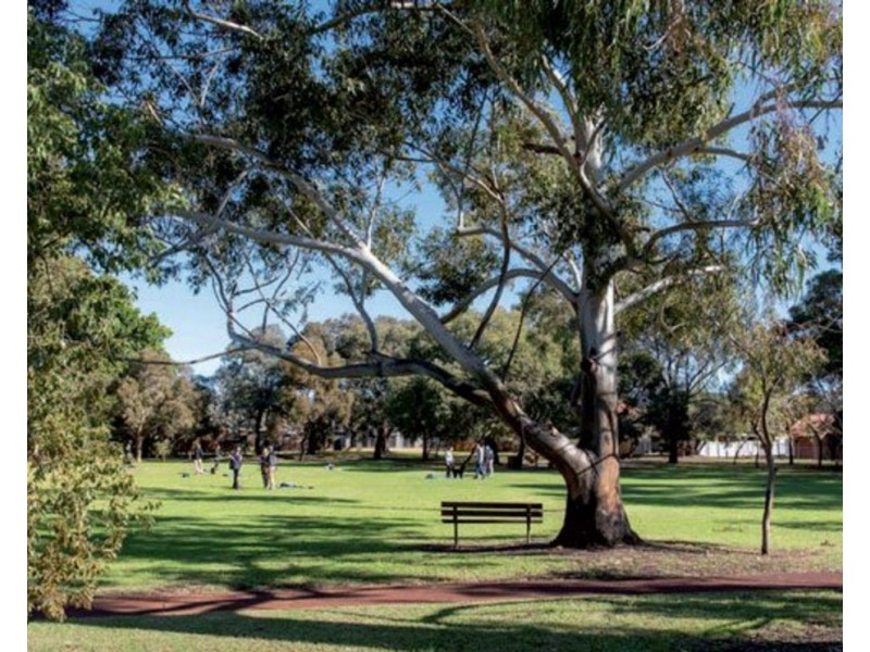 5 Groves Avenue, Attadale WA 6156