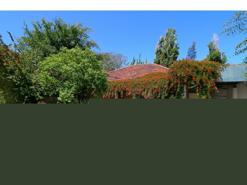 29 Pakenham Street, Mount Lawley WA 6050