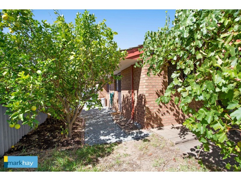 5/15 Caledonian Avenue, Maylands WA 6051