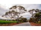 141 Chitty Road, Bakers Hill WA 6562