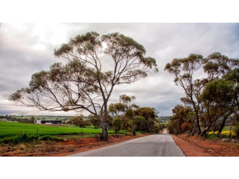 141 Chitty Road, Bakers Hill WA 6562