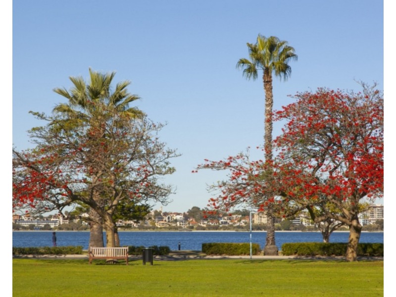 17/114 Terrace Road, Perth WA 6000