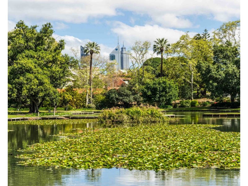 24/38-42 Waterloo Crescent, East Perth WA 6004