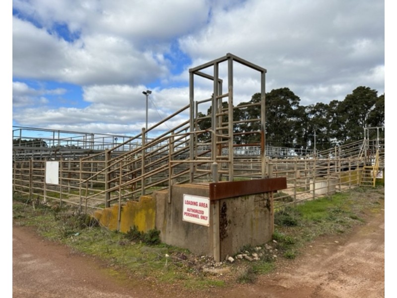 29-33 Wetherell Street, Manjimup WA 6258