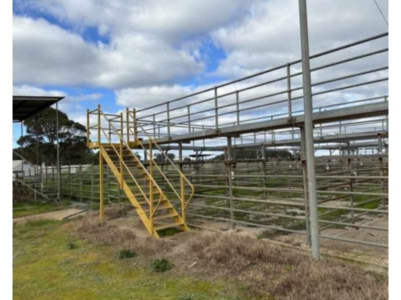 29-33 Wetherell Street, Manjimup WA 6258