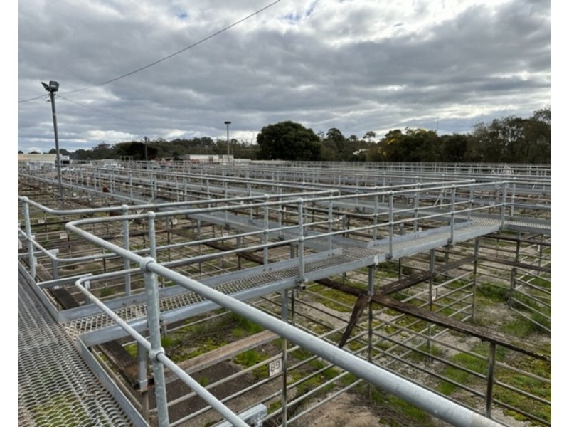 29-33 Wetherell Street, Manjimup WA 6258