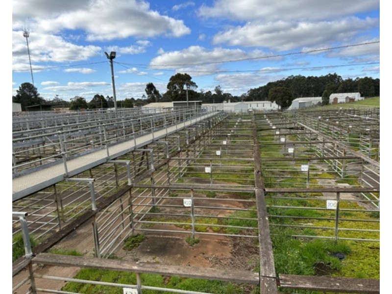 29-33 Wetherell Street, Manjimup WA 6258