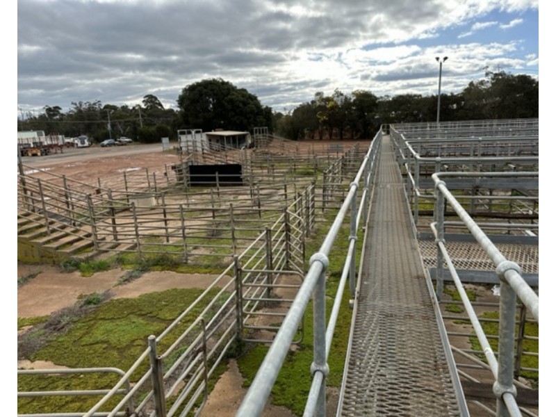 29-33 Wetherell Street, Manjimup WA 6258