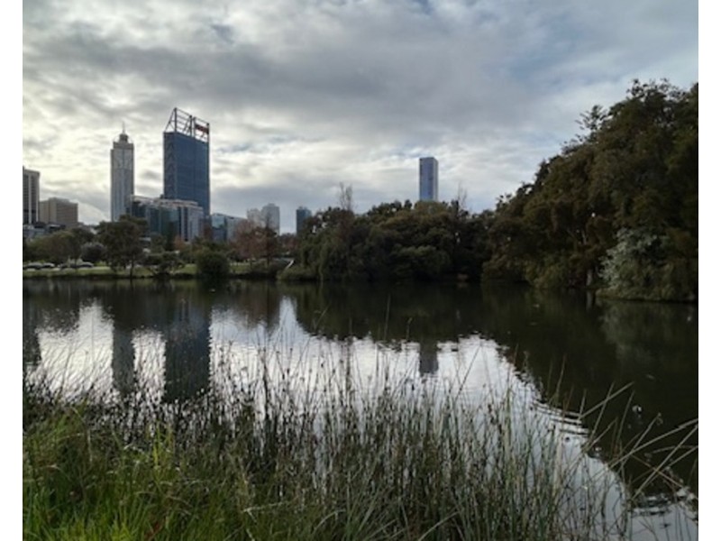 15/134 Mounts Bay Road, Perth WA 6000