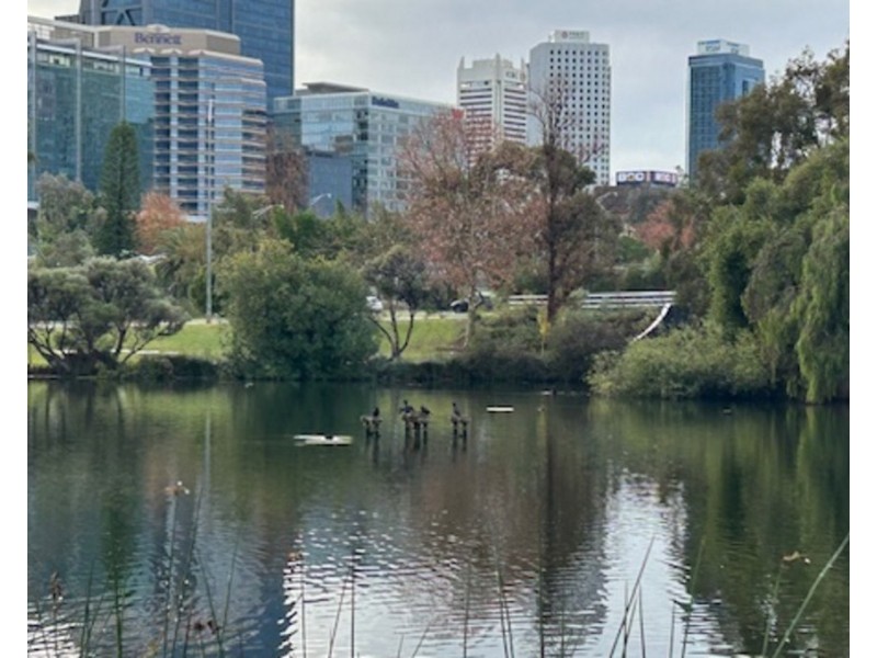 15/134 Mounts Bay Road, Perth WA 6000