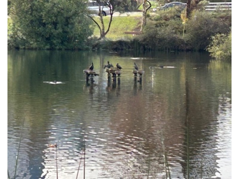 15/134 Mounts Bay Road, Perth WA 6000