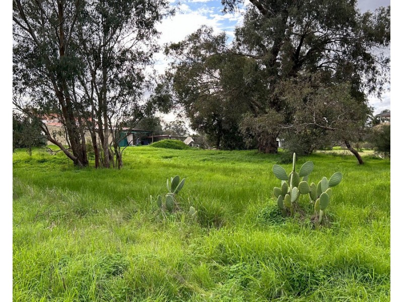 195 West Road, Bassendean WA 6054