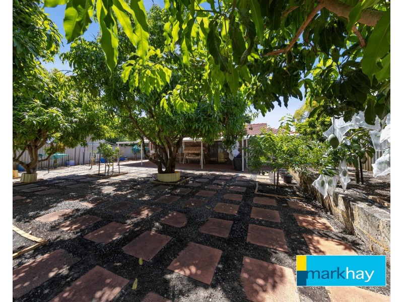 11 Fyfe Circle, Bull Creek WA 6149