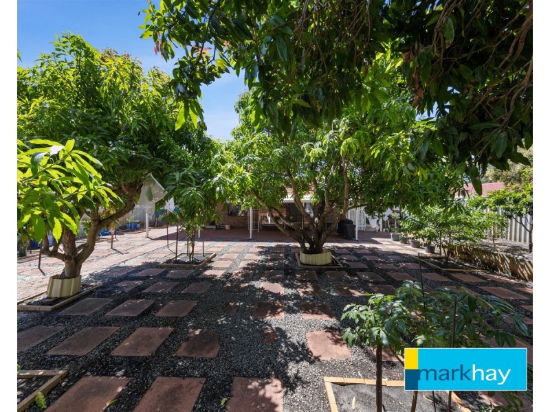 11 Fyfe Circle, Bull Creek WA 6149