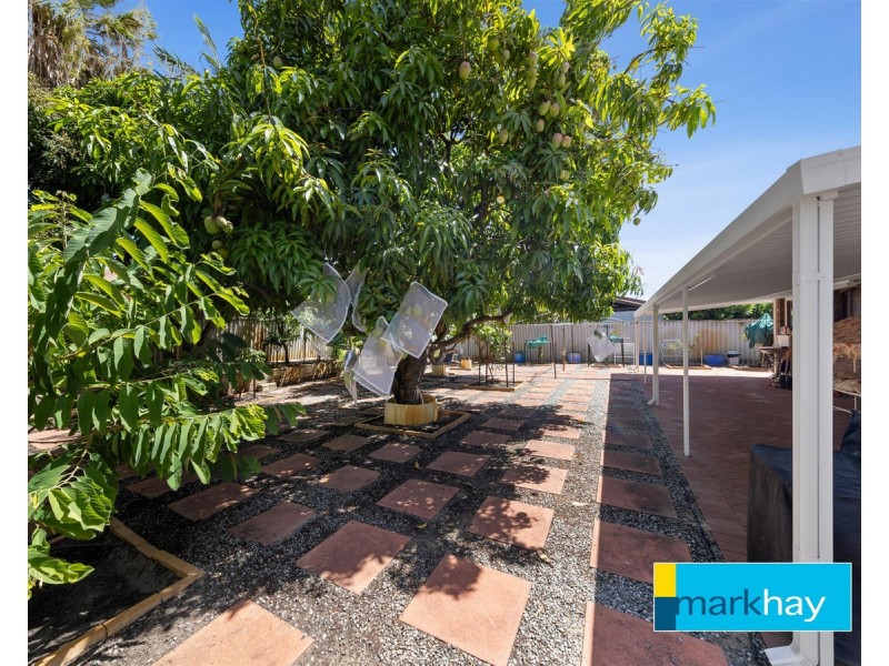 11 Fyfe Circle, Bull Creek WA 6149