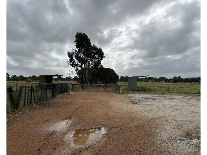 37 William Street, Herne Hill WA 6056